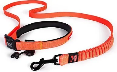 EzyDog Road Runner Leash