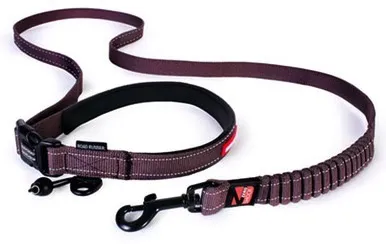 EzyDog Road Runner Leash