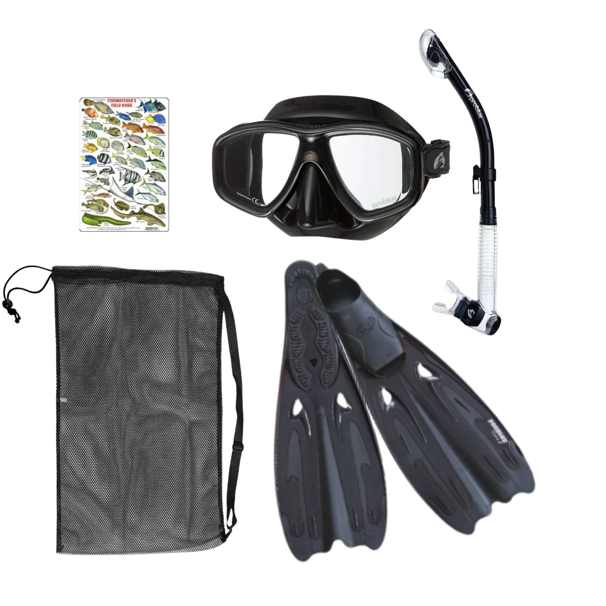 Tiara Dry Travel Snorkel Package